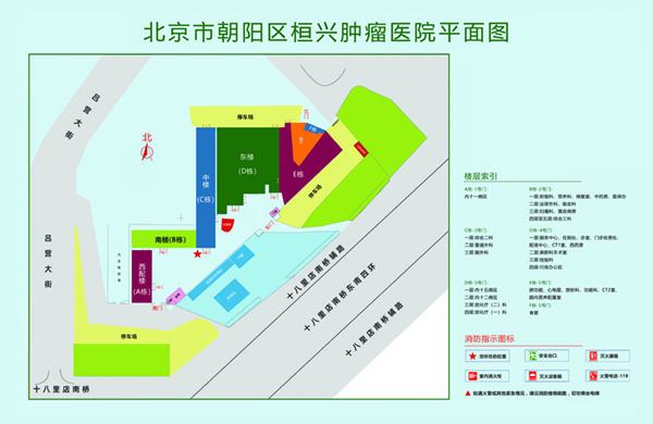 爆操女生的小骚逼网站北京市朝阳区桓兴肿瘤医院平面图